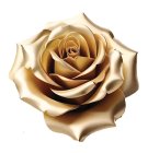 Golden Rose